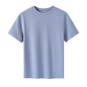 Ao thun ngan tay 5200TX Xanh ghi 01